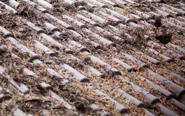 Withyham roof cleaning companies