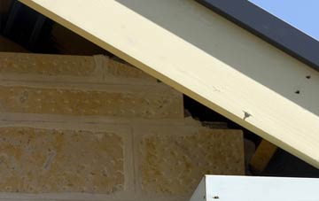 soffit repair Withyham