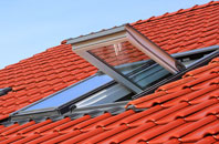 Withyham roof window
